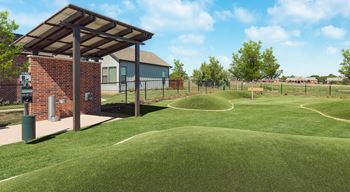 Dog park